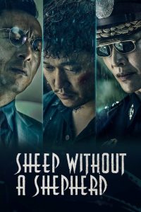 Sheep Without a Shepherd (2019) Full Movie Download Gdrive Link