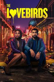 The Lovebirds (2020) Full Movie Download Gdrive