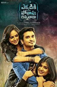 Ekkadiki Pothavu Chinnavada (2016) Full Movie Download Gdrive