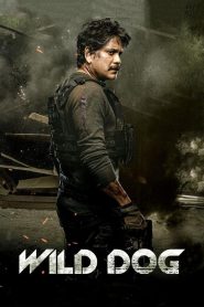 Wild Dog (2021) Full Movie Download Gdrive Link