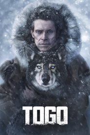 Togo (2019) Full Movie Download Gdrive Link