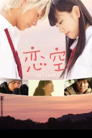 Sky Of Love (2007) Full Movie Download Gdrive Link