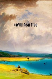 The Wild Pear Tree (2018) Full Movie Download Gdrive Link