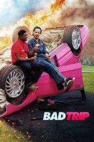 Bad Trip (2021) Full Movie Download Gdrive Link