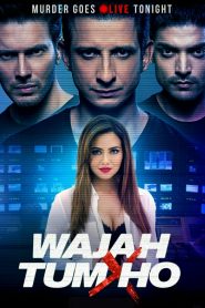 Wajah Tum Ho (2016) Full Movie Download Gdrive Link