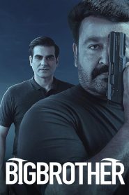 Big Brother (2020) Full Movie Download Gdrive Link