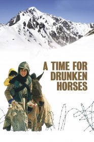 A Time for Drunken Horses (2000) Full Movie Download Gdrive Link