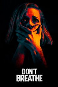 Don’t Breathe (2016) Full Movie Download Gdrive Link