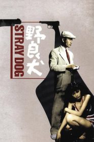 Stray Dog (1949) Full Movie Download Gdrive Link