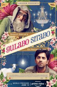 Gulabo Sitabo (2020) Full Movie Download Gdrive