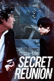 Secret Reunion (2010) Full Movie Download Gdrive Link