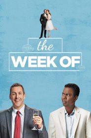 The Week Of (2018) Full Movie Download Gdrive