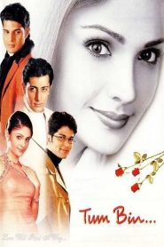 Tum Bin (2001) Full Movie Download Gdrive Link