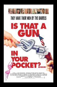 Is That a Gun in Your Pocket? (2016) Full Movie Download Gdrive