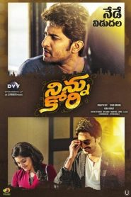 Ninnu Kori (2017) Full Movie Download Gdrive Link