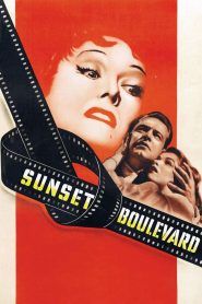 Sunset Boulevard (1950) Full Movie Download Gdrive Link