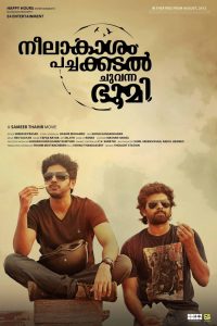 Neelakasham Pachakadal Chuvanna Bhoomi (2013) Full Movie Download Gdrive Link