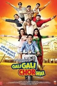 Gali Gali Chor Hai (2012) Full Movie Download Gdrive Link