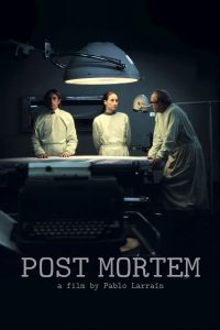 Post Mortem (2010) Full Movie Download Gdrive Link