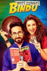 Meri Pyaari Bindu (2017) Full Movie Download Gdrive Link