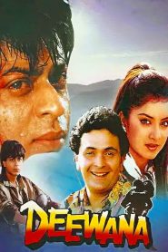 Deewana (1992) Full Movie Download Gdrive Link