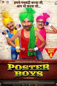 Poster Boys (2017) Full Movie Download Gdrive Link