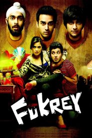 Fukrey (2013) Full Movie Download Gdrive Link