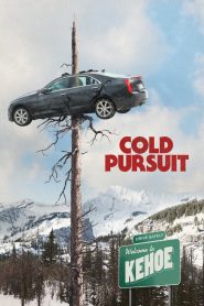 Cold Pursuit (2019) Full Movie Download Gdrive Link