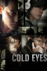 Cold Eyes (2013) Full Movie Download Gdrive Link