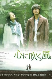 The Wind in Your Heart (2017) Full Movie Download Gdrive Link