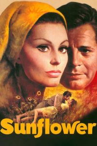 Sunflower (1970) Full Movie Download Gdrive Link