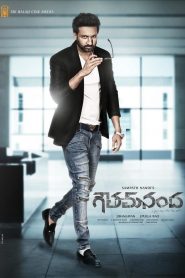 Goutham Nanda (2017) Full Movie Download Gdrive Link