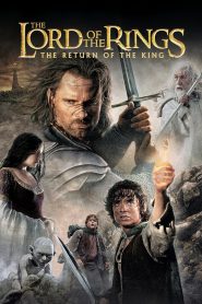 The Lord of the Rings: The Return of the King (2003) Full Movie Download Gdrive Link