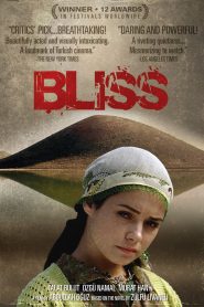 Bliss (2007) Full Movie Download Gdrive Link