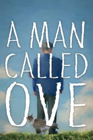 A Man Called Ove (2015) Full Movie Download Gdrive Link