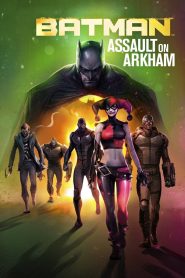 Batman: Assault on Arkham (2014) Full Movie Download Gdrive Link