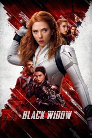 Black Widow (2021) Dual Audio [Hindi & English] WEB-DL Full Movie Download Gdrive Link