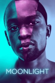 Moonlight (2016) Full Movie Download Gdrive Link