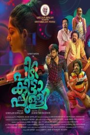 Pidikittapulli (2021) Full Movie Download Gdrive Link