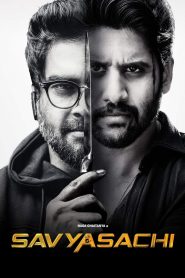 Savyasachi (2018) Hindi Dubbed Full Movie Download Gdrive Link