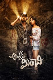 Anthaku Minchi (2018) Hindi Dubbed Full Movie Download Gdrive Link