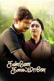 Kanne Kalaimaane (2019) Hindi Dubbed Full Movie Download Gdrive Link