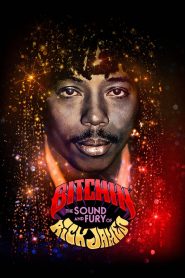 Bitchin’: The Sound and Fury of Rick James (2021) Full Movie Download | Gdrive Link