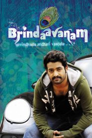 Brindaavanam (2010) Full Movie Download | Gdrive Link