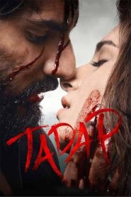 Tadap (2021) Hindi WEB-DL Full Movie Download | Gdrive Link