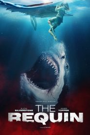 The Requin (2022) English Full Movie Download | Gdrive Link