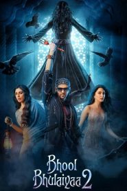 Bhool Bhulaiyaa 2 (2022) Hindi Full Movie WEB-DL 480p [350MB] | 720p [1.2GB] | 1080p [2GB]