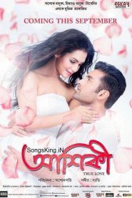 Aashiqui: True Love (2015) BluRay 1080p 720p 480p Download | Full Movie