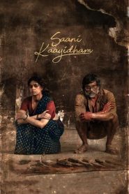 Saani Kaayidham (2022)  1080p 720p 480p google drive Full movie Download