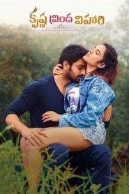 Krishna Vrinda Vihari (2022)  1080p 720p 480p google drive Full movie Download